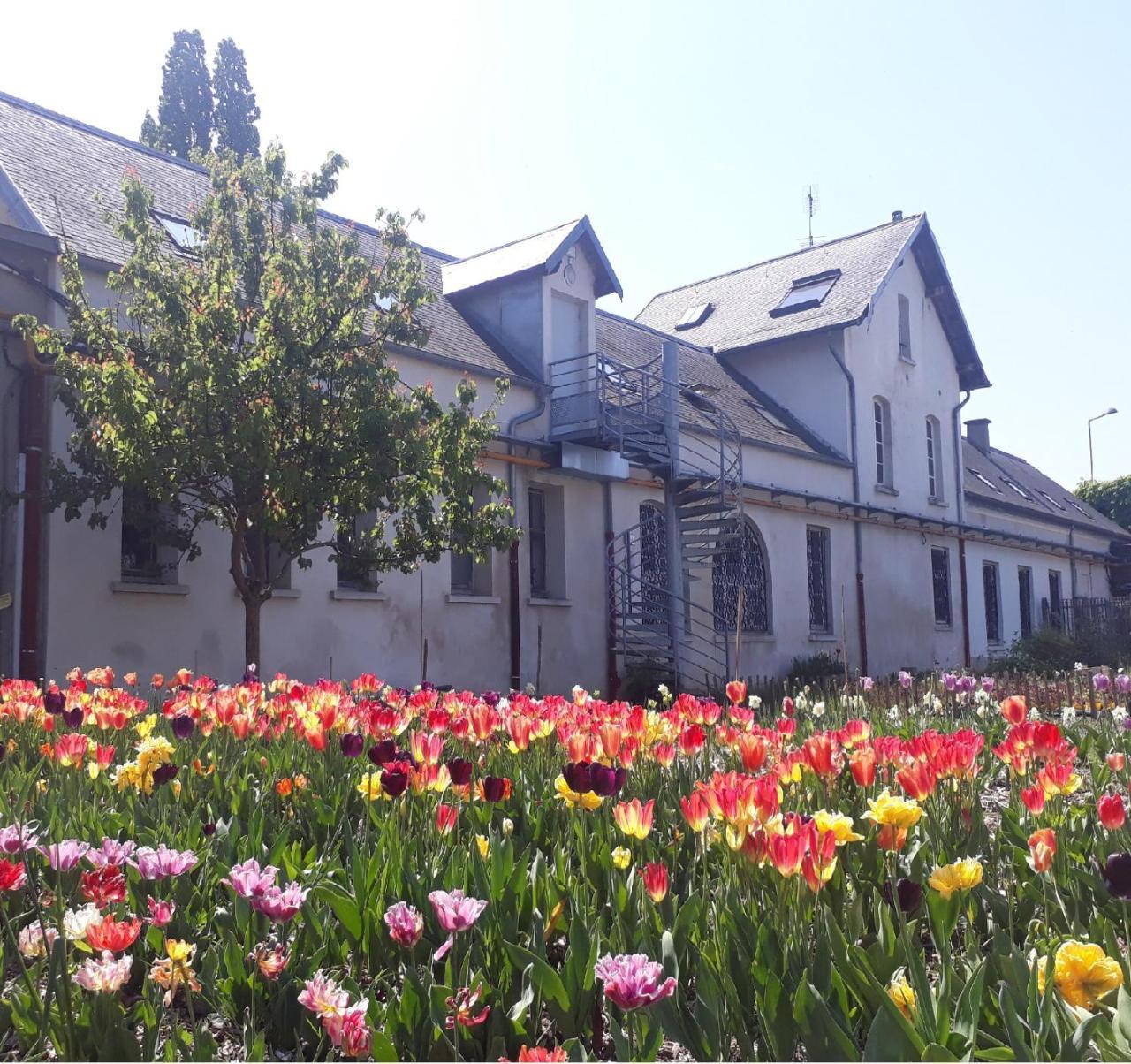 Auberge La Maison Montreau Montreuil  Eksteriør billede
